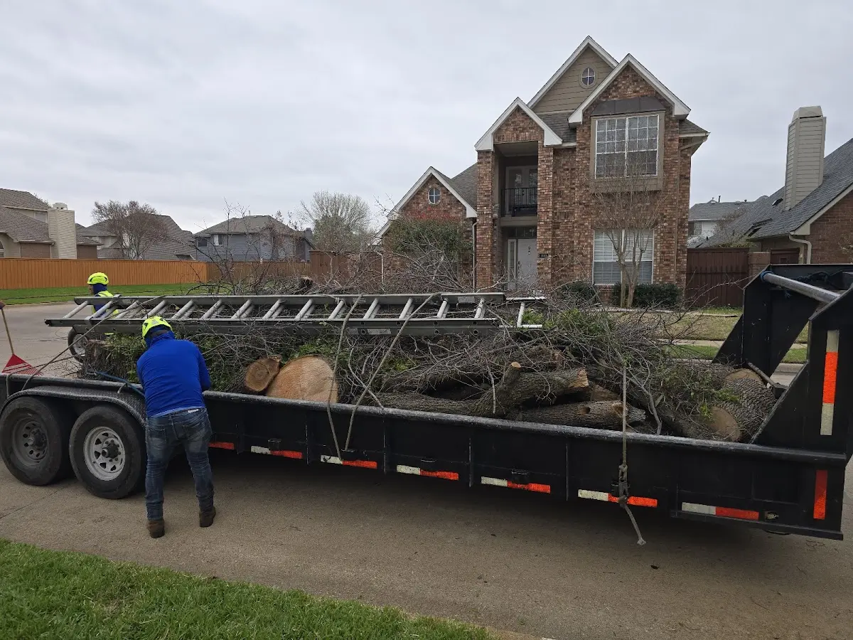Expert Tree Removal with proper safety equipment in Camp Nelson